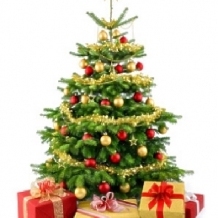 Geburtstagskinder des Monats